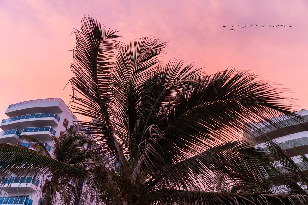 Vistamarina Casa Hotel (Adults Only) Cartagena 외부 사진